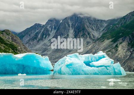 USA, Alaska, Glacier Bay National Park. Eisberge vom McBride-Gletscher. Stockfoto