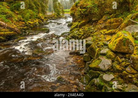 USA, Alaska, Tongass National Forest. Landschaft mit Anan Creek. Stockfoto