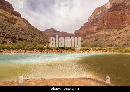 USA, Arizona, Grand Canyon Nationalpark. Das türkisfarbene Wasser des Little Colorado River trifft auf den Hauptfluss des Colorado River. Stockfoto