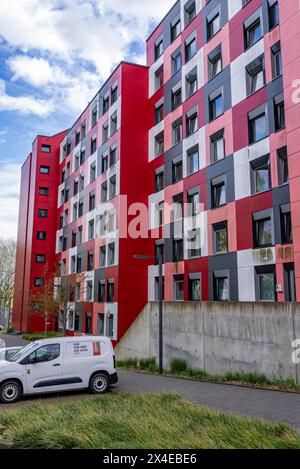 Studentenwohnheim des Studierendenwerks Essen-Duisburg in Essen werden über 310 möblierte Zimmer an Studenten vermietet, NRW, Deutschland Stockfoto