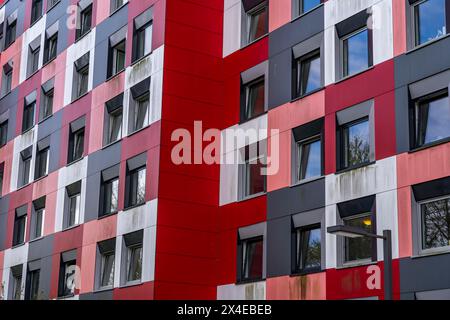 Studentenwohnheim des Studierendenwerks Essen-Duisburg in Essen werden über 310 möblierte Zimmer an Studenten vermietet, NRW, Deutschland Stockfoto