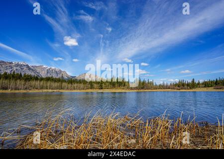 Blick über den Middle Lake in Richtung Mount Yamnuska im Bow Valley Provincial Park, Alberta Stockfoto