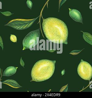 Aquarell nahtloses Limettenmuster mit grünen Zitronen und Limettenzweig mit Blättern. Handgemalte gelbe Früchte isoliert auf dunklem Hintergrund. Frische Zitrusfrüchte i Stockfoto