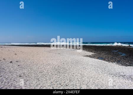 Popcorn Beach in Corralejo, Fuerteventura, Kanarischen Inseln, Spanien. Wunderschöne Landschaft an der Küste des Atlantischen Ozeans Stockfoto