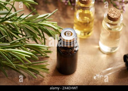 Eine Flasche ätherisches Aromatherapie-Öl mit frisch blühender Rosmarinpflanze Stockfoto