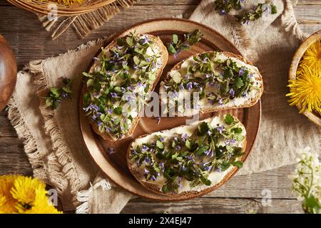 Lila gemahlene Efeu-Blüten und grüne Blätter im Frühjahr auf Sauerteigbrotscheiben gesammelt, Blick von oben Stockfoto