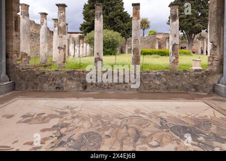 Villa Pompeji, Haus des Faun oder Casa del Fauno, Pompeji; Garten der Villa, Mosaik und Säulen; römische Ruinen, UNESCO-Weltkulturerbe, Pompeji Italien Stockfoto