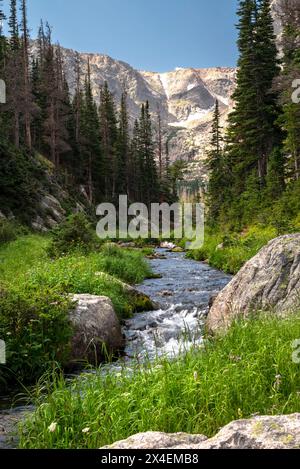 USA, Colorado. Rocky Mountain National Park, Thompson River Stockfoto