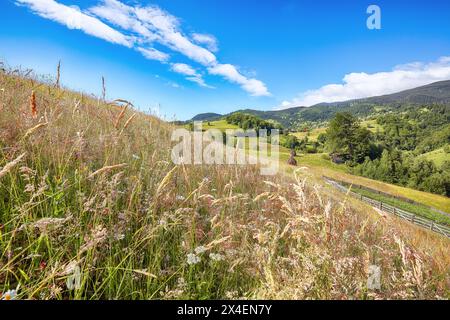 Fantastische Landschaft des rumänischen Dorfes Rogojel mit bewaldeten Hügeln und Heuhaufen auf einem grasbewachsenen ländlichen Feld in Bergen. Ort: Rogojel, C Stockfoto