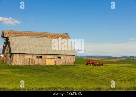 USA, Washington State, Palouse, Colfax. Altes Holz, Scheune. Roter Traktor, landwirtschaftliche Geräte. Grüne Weizenfelder. Drahtzaun. Stockfoto