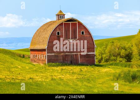 USA, Idaho, Genesee. Rote Scheune, blauer Himmel, weiße Wolken. Stockfoto