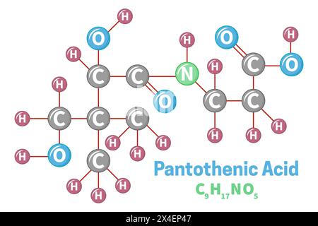 Pantothensäure Vitamin B5 Molekülformel Illustration Stock Vektor