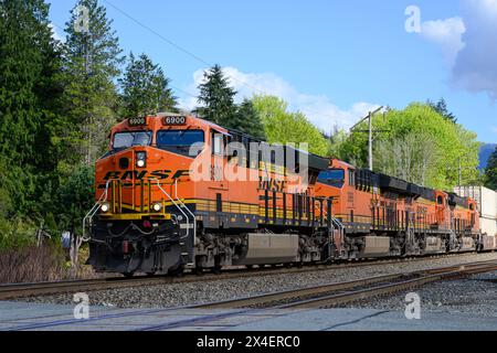 Baring, WA, USA - 1. Mai 2024; BNSF-Güterzug mit intermodalen Containern und mehreren orangen Lokomotiven Stockfoto