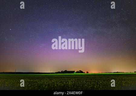 Lietzen, Deutschland. Mai 2024. Eine aurora borealis leuchtet lila am Nachthimmel im Stadtteil Märkisch-Oderland in Ostbrandenburgs. Diese Nordlichter (aurora borealis) wurden von einer Wolke elektrisch geladener Partikel aus einem Sonnensturm in der Erdatmosphäre erzeugt. Der Farbeffekt wird durch die Digitalkamera mit einer Langzeitbelichtung von etwa zehn Sekunden verstärkt. Quelle: Patrick Pleul/dpa/Alamy Live News Stockfoto