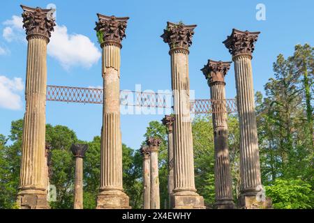 Windsor Ruinen, Mississippi. Bestehend aus 23 stehenden korinthischen Säulen. Das größte Herrenhaus aus der Zeit vor dem Bürgerkrieg, das jemals im Staat gebaut wurde. Stockfoto