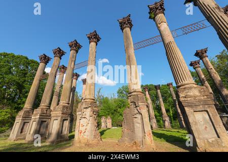 Windsor Ruinen, Mississippi. Bestehend aus 23 stehenden korinthischen Säulen. Das größte Herrenhaus aus der Zeit vor dem Bürgerkrieg, das jemals im Staat gebaut wurde. Stockfoto