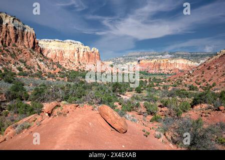 USA, New Mexico. Carson National Forest, in der Nähe der Ghost Ranch. Stockfoto