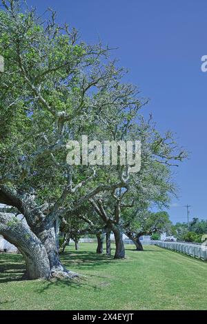 USA, North Carolina, Ocracoke Island. Ocracoke Lighthouse Stockfoto
