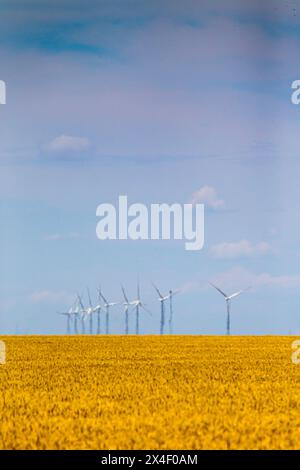 Windmühlen erzeugen Strom über den Feldern in Texas. Stockfoto