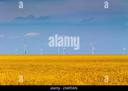 Windmühlen erzeugen Strom über den Feldern in Texas. Stockfoto