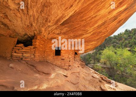 House on Fire Ruins Mule Canyon Cedar Mesa Bears Ears National Monument, Utah. Stockfoto