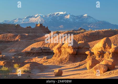 Skurrile Hoodoos im Goblin Valley State Park, Utah. Henry Mountains sind in der Ferne. Stockfoto