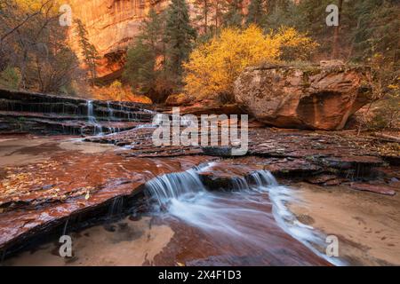 Archangel Falls auf der linken Fork des North Creek, Zion National Park Stockfoto