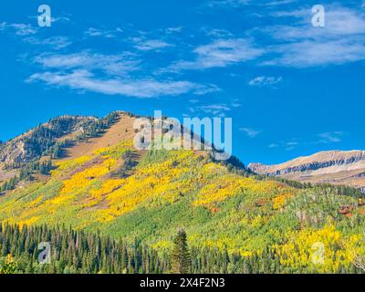 USA, Utah, Logan Pass. Farbenfroher Herbst im Provo Pass Stockfoto