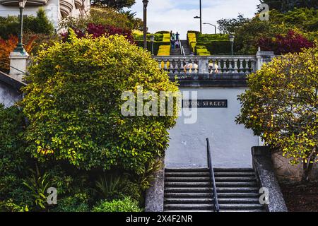 San Francisco, CA, USA. 30. März 2024: San Franciscos faszinierendes Panorama erwartet Sie auf der Spitze der Lyon Street Steps. Stockfoto