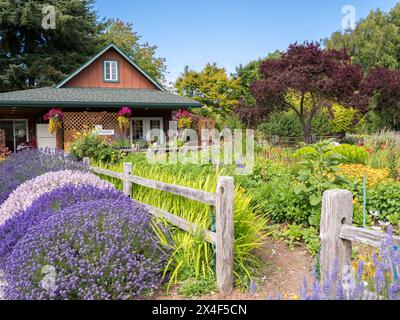 Haus und Bauernhof umgeben von einem Garten mit Lavendel und Blumen. (Nur Für Redaktionelle Zwecke) Stockfoto