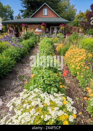Haus und Bauernhof umgeben von einem Garten mit Lavendel und Blumen. (Nur Für Redaktionelle Zwecke) Stockfoto