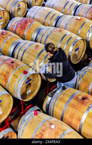 USA, Washington State, Woodinville. Im Keller von Barrell befinden sich Hunderte von Weinfässern. (Nur Für Redaktionelle Zwecke) Stockfoto