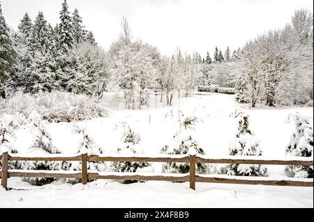 USA, Washington State, Woodinville. Winterwanderwege in Woodinville. Stockfoto