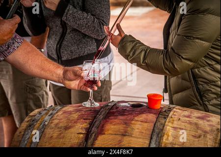 USA, Washington State, Yakima Valley. Frühjahrsfreigabe bei Van Arnam Vineyards. (Nur Für Redaktionelle Zwecke) Stockfoto