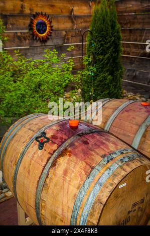 USA, Washington State, Yakima Valley. Frühjahrsfreigabe bei Van Arnam Vineyards. (Nur Für Redaktionelle Zwecke) Stockfoto