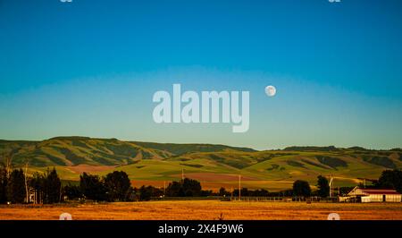 USA, Washington State, Walla Walla. Vollmond über den Blue Mountains mit Weinberg im Vordergrund. Stockfoto