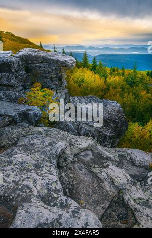 USA, West Virginia, Dolly Sods Wilderness und Umgebung. Sonnenaufgang auf Felsbrocken und Wald. Stockfoto