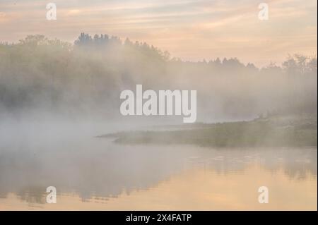 USA, West Virginia, Blackwater Falls State Park. Sonnenaufgang auf See und Wald im Nebel. Stockfoto