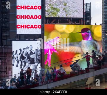 Werbung für das Musical Chicago, Times Square, Manhattan, Broadway, in der Abenddämmerung, New York City, USA Stockfoto