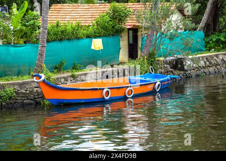 Kerala (Indien) Alappuzha Wasserleben Stockfoto