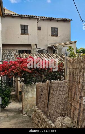 Valldemossa Themenfoto: Urlaub, Spanien, Mittelmeer, Balearen, Mallorca, Valldemossa, 02.05.2024 Themenfoto: Urlaub, Spanien, Mittelmeer, Balearen, Mallorca, Valldemossa, 02.05.2024 *** Valldemossa Thema Foto Urlaub, Spanien, Mittelmeer, Balearen, Mallorca, Valldemossa, 02 05 2024 Themenfotourlaub, Spanien, Mittelmeer, Balearen, Mallorca, Valldemossa, 02 05 2024 Copyright: xAugstx/xEibner-Pressefotox EP jat Stockfoto