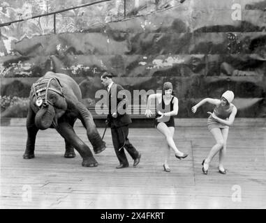 Das ist keine Art, ein Baby zu behandeln - Elefant - zum Tanzen gemacht - 1926 Stockfoto