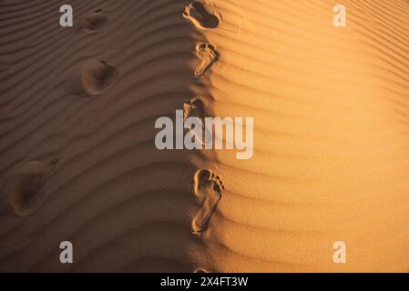 Fußabdrücke in Wüstensanddünen, Wahiba Sands, Ash Sharqiyah, Oman Stockfoto