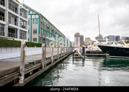 Woolloomooloo Wharf, auch bekannt als The Finger Wharf, ist der längste Holzstapelanleger der Welt und steht unter Denkmalschutz in Sydney, NSW, Australien Stockfoto