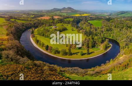 Bemersyde Loop, Old Melrose, Scotts View, Scottish Borders, UK. Mai 2024. Wetter in Großbritannien Ein farbenfroher Blick an einem schönen sonnigen Tag in den schottischen Grenzen, der die berühmte Bemersyde Loop des Flusses Tweed zeigt, der sich um das Old Melrose Estate in der Nähe von Melrose in den schottischen Grenzen windet. Die Aussicht, Scotts View blickt über die Eildon Hills und war ein beliebter Aussichtspunkt für den berühmten Autor Sir Walter Scott, der der beliebten Szene gewidmet ist. Bildnachweis: phil wilkinson/Alamy Live News Stockfoto