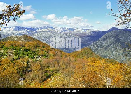 Herbstliche Landschaft vom Mount Vrmac in Montenegro: Hänge bedeckt mit immergrünen und Laubbäumen vor dem Hintergrund von felsigen Hängen. Stockfoto