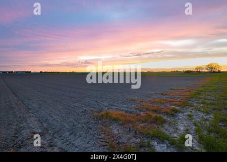 Wunderschöner rosa Sonnenuntergang über einem kargen und gepflügten Land im Westen der Niederlande Stockfoto