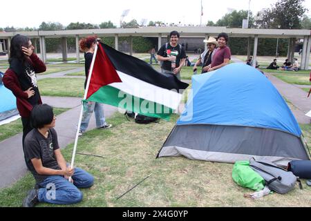 Nicht exklusiv: Student der Universidad Nacional Autonoma de Mexico (UNAM), hält eine palästinensische Flagge, während er ein Zelt in einem Lager aufstellt, um gegen ag zu protestieren Stockfoto