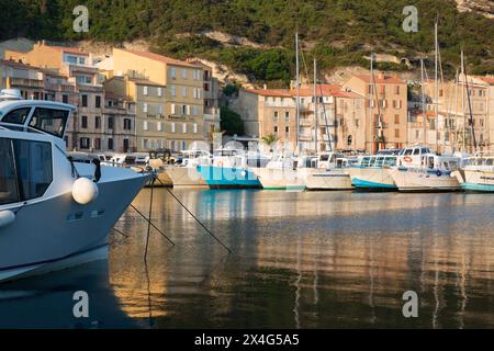 Bonifacio, Corse-du-Sud, Korsika, Frankreich. Blick über den Hafen bei Sonnenaufgang, verankerte Sightseeing-Boote spiegeln sich im ruhigen Wasser. Stockfoto