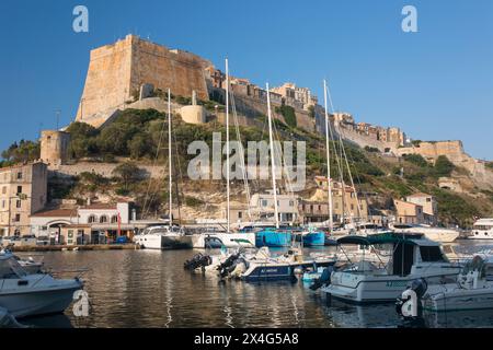 Bonifacio, Corse-du-Sud, Korsika, Frankreich. Blick über den Hafen auf die hoch aufragenden Mauern der Zitadelle am frühen Morgen. Stockfoto